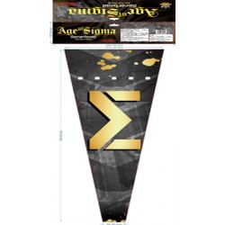  Age of Sigma Rockets  by FAB FIREWORKS